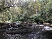 Click to display the file, Galizien_(064).jpg