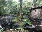 Click to display the file, Galizien_(070).jpg