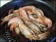 Click to display the file, Galizien_(261).jpg