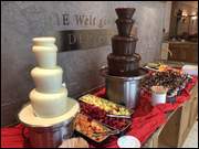 Click to display the file, DSC_(153).jpg