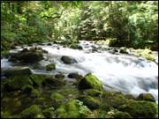 Click to display the file, DSC07163.jpg