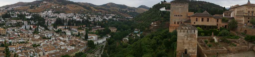 Click to display the file, DSC06223.jpg