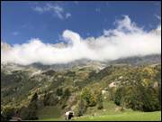 Click to display the file, GstaadAMG_(120).jpg