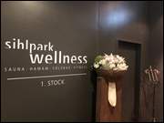 Click to display the file, GstaadAMG_(151).jpg