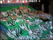 Click to display the file, DSC07700.jpg