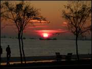 Click to display the file, DSC07703.jpg