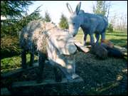 Click to display the file, CIMG0039.jpg