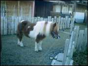 Click to display the file, CIMG0045.jpg