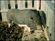 Click to display the file, CIMG0048.jpg