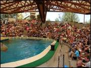 Click to display the file, DSC03960.jpg