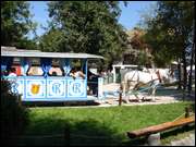 Click to display the file, DSC03981.jpg