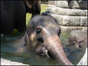 Click to display the file, DSC03989.jpg