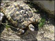 Click to display the file, DSC04007.jpg