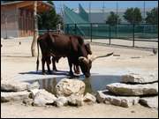 Click to display the file, DSC04011.jpg