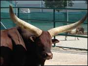 Click to display the file, DSC04012.jpg