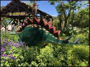 Click to display the file, IMG_9719.jpg