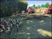 Click to display the file, IMG_9749.jpg