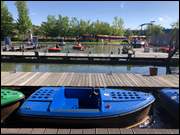 Click to display the file, IMG_9786.jpg