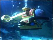 Click to display the file, IMG_9826.jpg