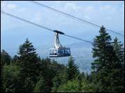 Click to display the file, DSC03784.jpg