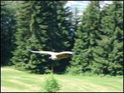 Click to display the file, DSC03796.jpg