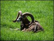 Click to display the file, DSC03818.jpg