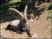 Click to display the file, DSC03821.jpg