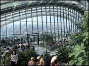 Click to display the file, IMG_1353.jpg