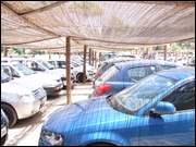 Click to display the file, DSC01803.jpg