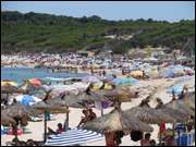 Click to display the file, DSC01813.jpg