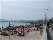 Click to display the file, DSC01816.jpg