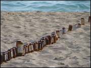 Click to display the file, DSC01818.jpg