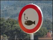 Click to display the file, DSC08391.jpg