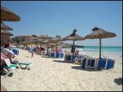 Click to display the file, DSC08412.jpg