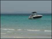 Click to display the file, DSC08419.jpg