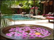 Click to display the file, DSC05773.jpg