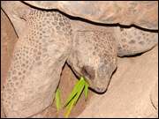 Click to display the file, DSC05901.jpg