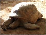 Click to display the file, DSC05902.jpg