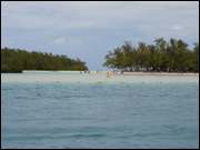 Click to display the file, DSC05908.jpg