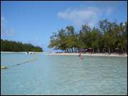 Click to display the file, DSC05916.jpg