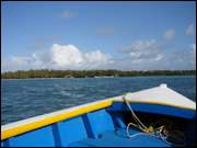 Click to display the file, DSC05918.jpg