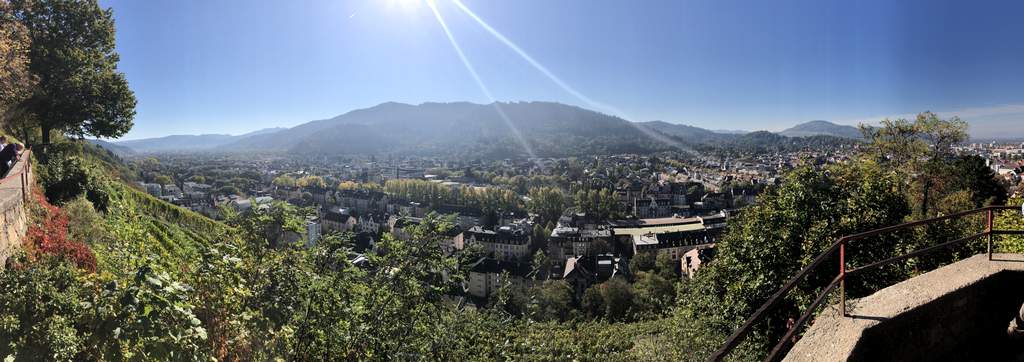 Click to display the file, Mulh-Freib-001_(69).jpg