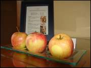 Click to display the file, DSC03635.jpg