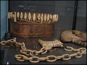 Click to display the file, DSC06151.jpg