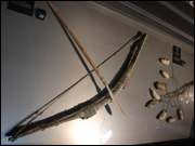 Click to display the file, DSC06154.jpg