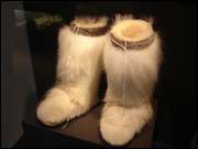 Click to display the file, DSC06155.jpg