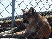 Click to display the file, DSC06662.jpg