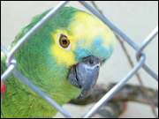 Click to display the file, DSC06668.jpg