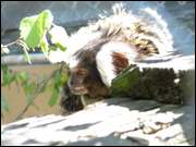 Click to display the file, DSC06674.jpg