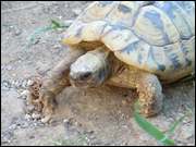 Click to display the file, DSC06679.jpg